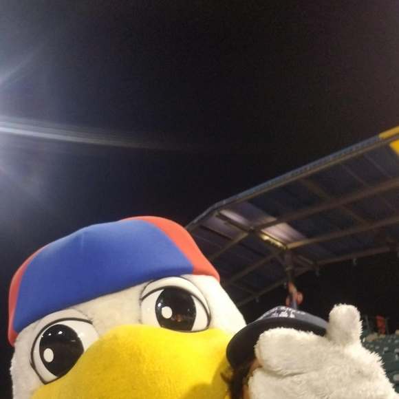 Meet your Posher, Anne - Picture 1 of 1